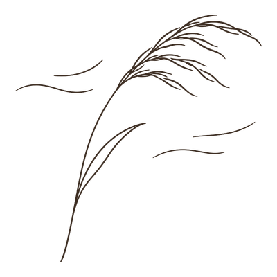 Ilustracja