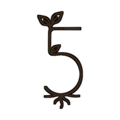 5
